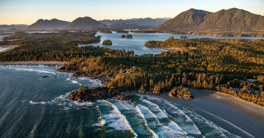 Celebrating Canadian Local Brands and the Power of Nature